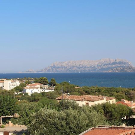 La Conchiglia Villa Olbia Eksteriør billede